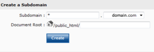 Set up wildcard subdomain