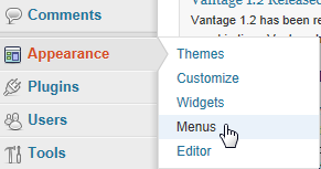 Go to Appearance then Menus